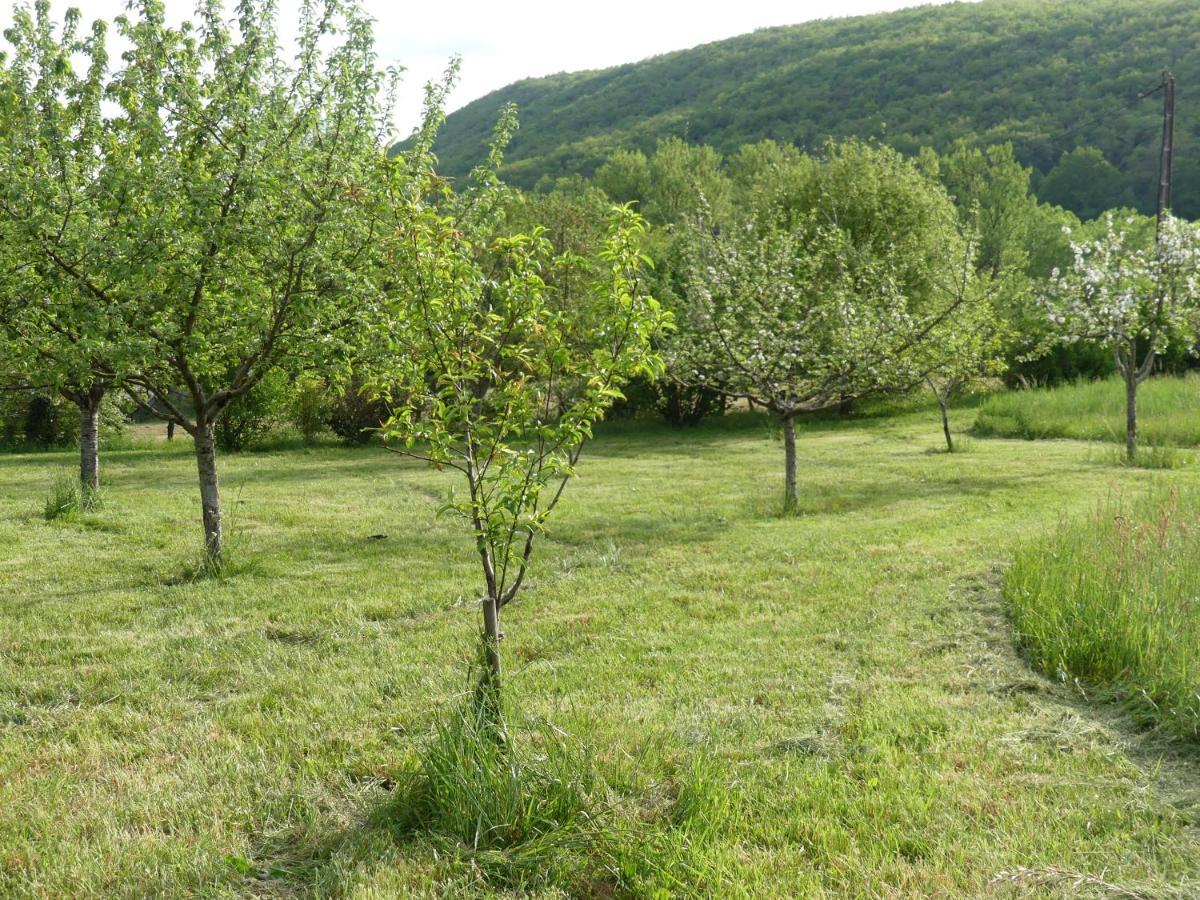Le Hameau Du Quercy Bed & Breakfast Frontenac  Bagian luar foto